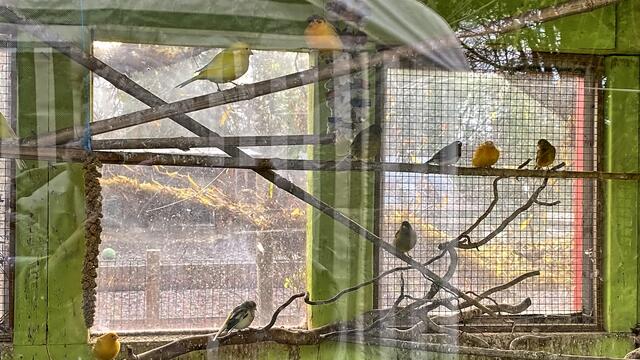 Foto: © Margot Klütsch