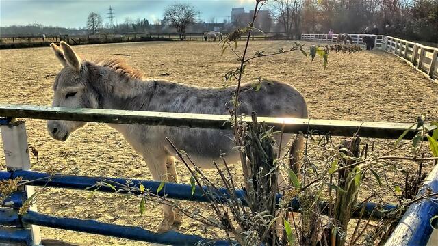 Foto: © Margot Klütsch