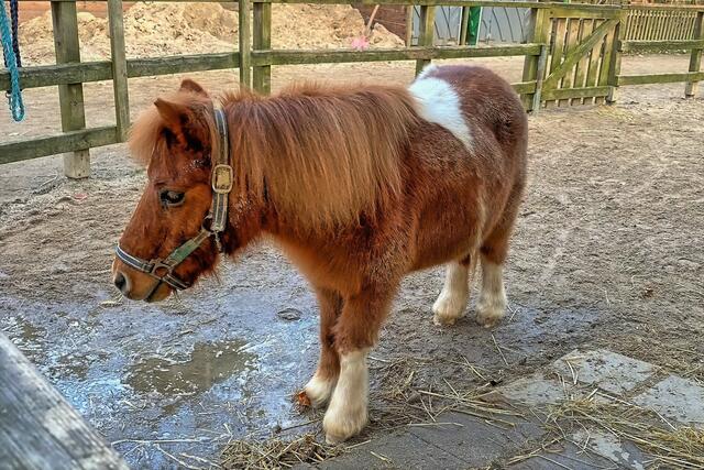 Foto: © Margot Klütsch