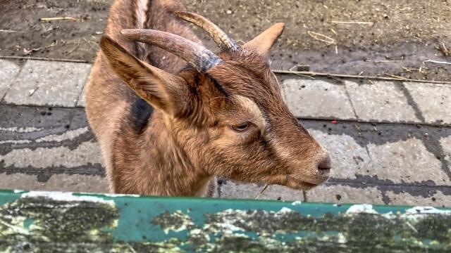 Foto: © Margot Klütsch