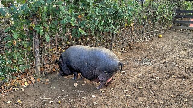 Foto: © Margot Klütsch