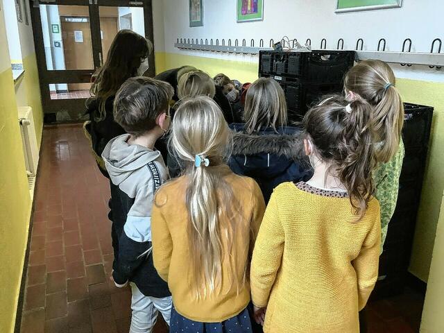 Mit einem Spendenprojekt unterstützte die Wilhelm-Busch-Schule erneut die Ratinger Tafel. Dazu brachten die Schulkinder auf freiwilliger Basis ein bis zwei Packungen Lebensmittel oder Hygieneartikel mit in die Schule, wo sie gesammelt wurden. | Foto: Zur Verfügung gestellt von: Katja Ruhrländer/Wilhelm-Busch-Schule Ratingen