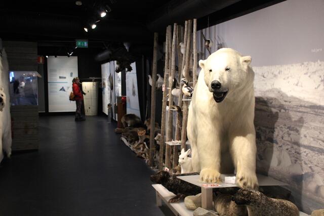 Die Touristeninformation mit Eisbärenclub und Museum.