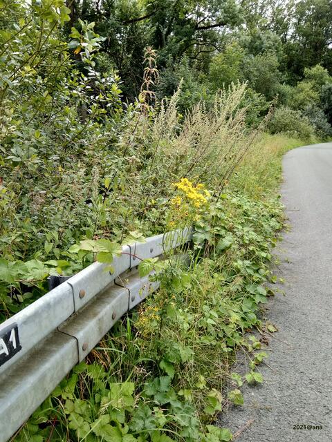 on the road again in KETTWIG :-)