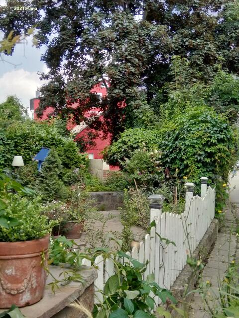 am Wegesrand, in E-Kettwig an der Ruhr