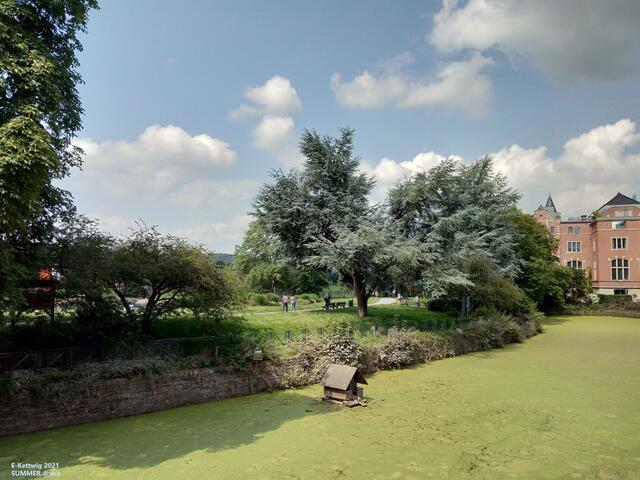 Mühlengraben in Kettwig