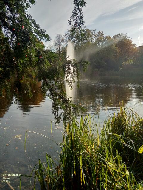 ...im Essener´STADTGArten im Oktober ...