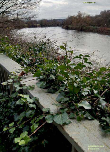 die TAGE im Dezember... an RUHR bei Essen-Steele