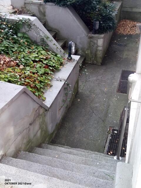 im OKTOBER in E-Rüttenscheid, GALERIE CINEMA