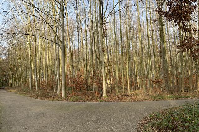 Neujahrsspaziergang 2022 Unterwegs im Naturschutzgebiet Wickeder