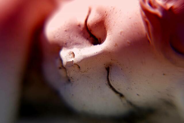 Fotografie Portrait Kind zur Story in Lokalkompass: "Vision: helfende Hand für: Garten, Kinder, Hund.
Wohnung Suche, Gartenarbeit, Familien, Senioren." | Foto: Jörg Schubert - #schubertj73