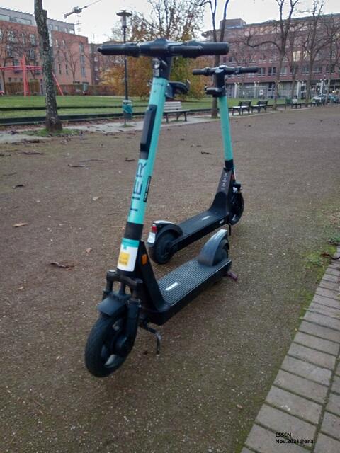 ...ROLLER entdeckt...