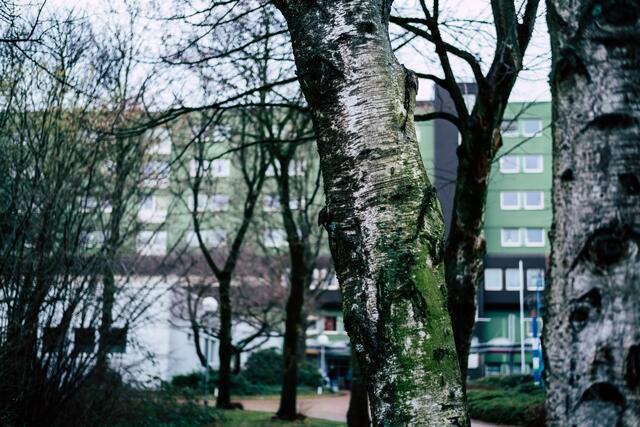 Ton in Ton mit der Natur 