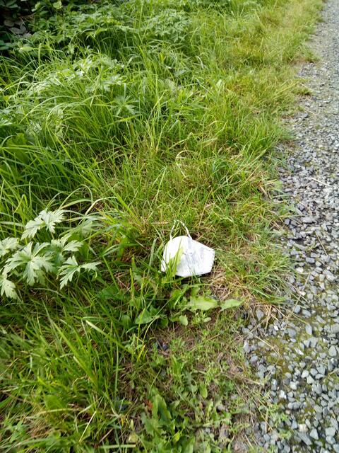 irgendwann und wo im August...