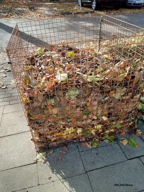 ...spät im Oktober...LAUBBERGE :-)