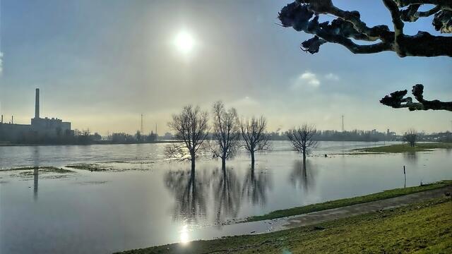 Hochwasser an der Rheinpromenade Heerdt.