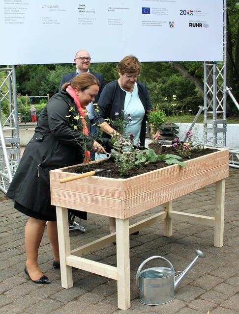 OB Sören Link blickte bei der Vorstellung der ökologischen Erneuerung der Revierparks mit Freude auf die „grünen Daumen“ von NRW-Ministerin Heinen-Esser und RVR-Reginaldirektorin Karola Geiß-Netthöfel.
Foto: Reiner Terhorst
