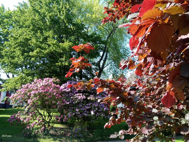 in näherer´ Umgebung