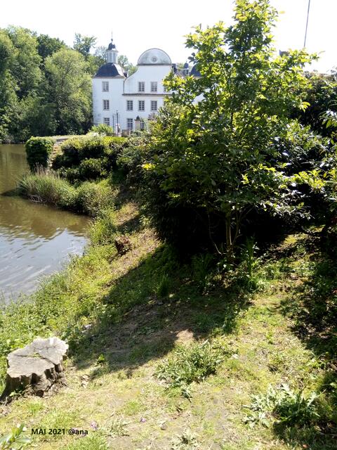 ...seitlich versteckt