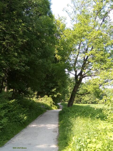 einfach los spazieren :-)