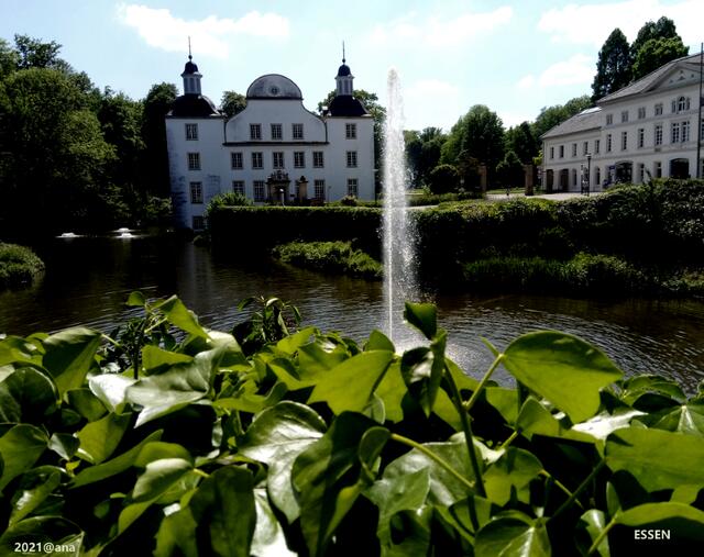 special Bild aus 2021, Borbeck :-)