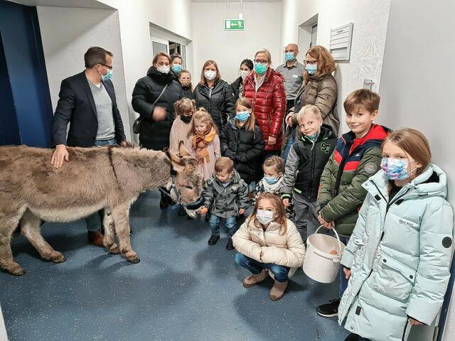 Neue Spezialpflege-Einrichtung in Wetter: Ein Esel im Aufzug - Wetter ...