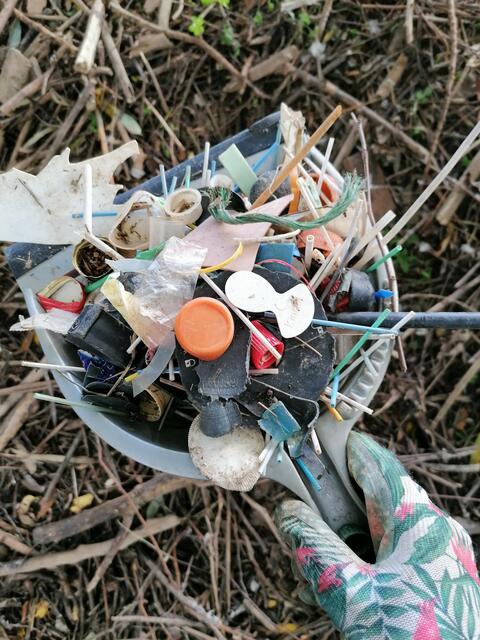 Wahnsinn, was alles achtlos weggeworfen wird! | Foto: Erdmann