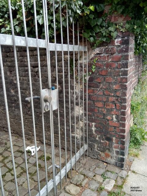 ...im Vorbeigehen entdeckt