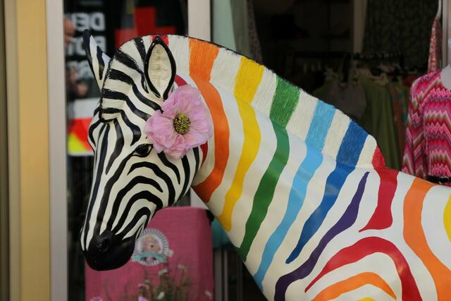 Viele Blumen, ein verkaufsoffener Sonntag und zahlreiche Besucher läuten aktuell den Frühling in Gevelsberg ein. Noch bis 18 Uhr sind heute in der Mittelstraße und in der Fußgängerzone viele Stände, Aktionen und eine Autoshow zu erleben.  | Foto: Patrick Jost