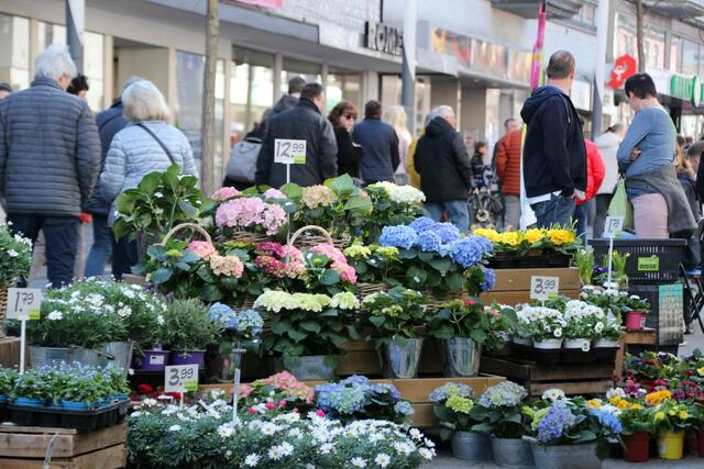 Viele Blumen, ein verkaufsoffener Sonntag und zahlreiche Besucher läuten aktuell den Frühling in Gevelsberg ein. Noch bis 18 Uhr sind heute in der Mittelstraße und in der Fußgängerzone viele Stände, Aktionen und eine Autoshow zu erleben.  | Foto: Patrick Jost