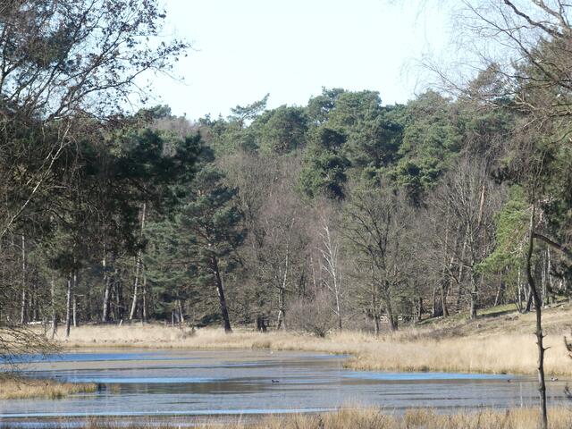 Naturpark Hohe Mark: Schwarzes Wasser Wesel - Wesel