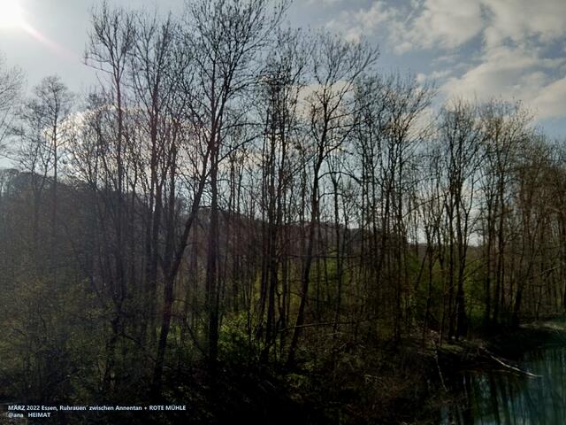 Sonne blinzelt überall hindurch´ 