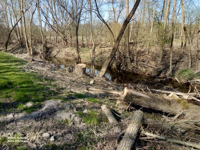 ...rechts und links ...