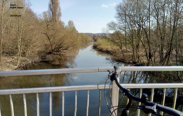 kleiner STOP für ein BILD....