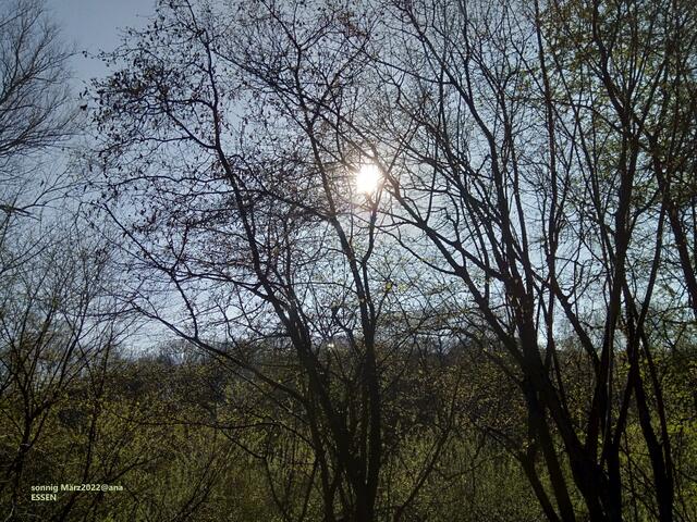 ...blinzel´ ... überall konnte ich die Sonne sehen, spüren und genießen 