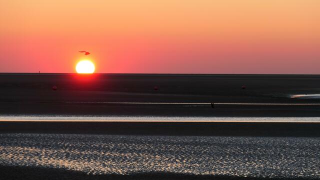 "Touchdown", Borkum | Foto: von mir