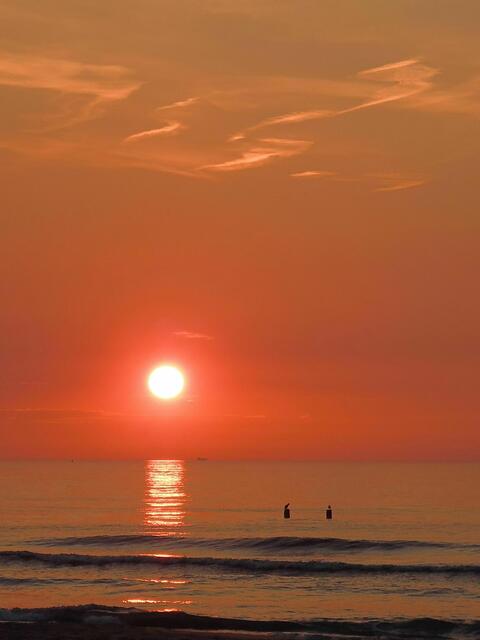 Sonnenuntergang mit sitzenden Kormoranen, Zeeland | Foto: von mir