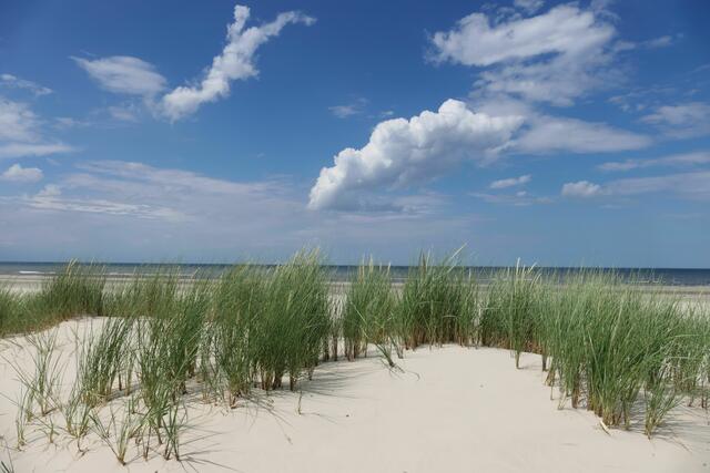Dünenszene, Langeoog | Foto: von mir