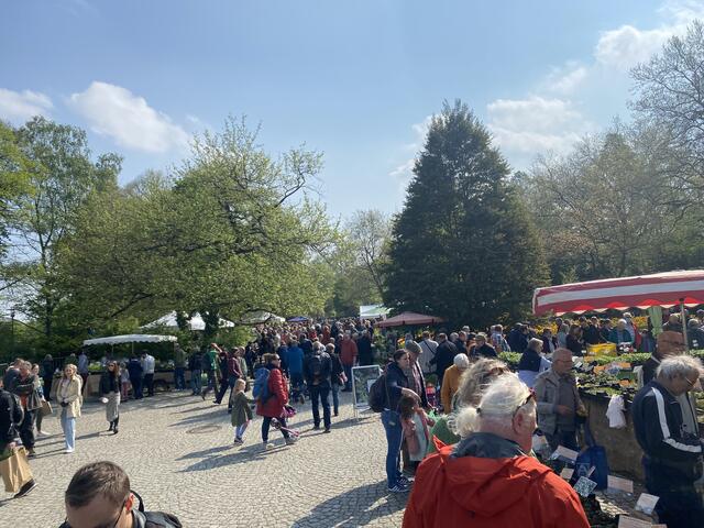Reges treiben auf dem Gelände
