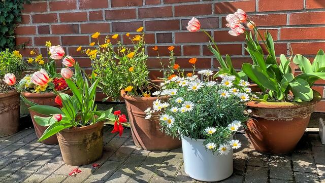 Ostern zu Hause, aber nicht eingesperrt!
