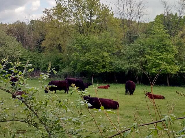 ...ausruhen :-))) mitten im GRÜN