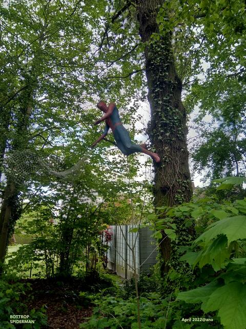 HUCH´ ...SPIDERMAN, mitten im WALD und nicht im Großstadt-Dschungel´... 2022@ana