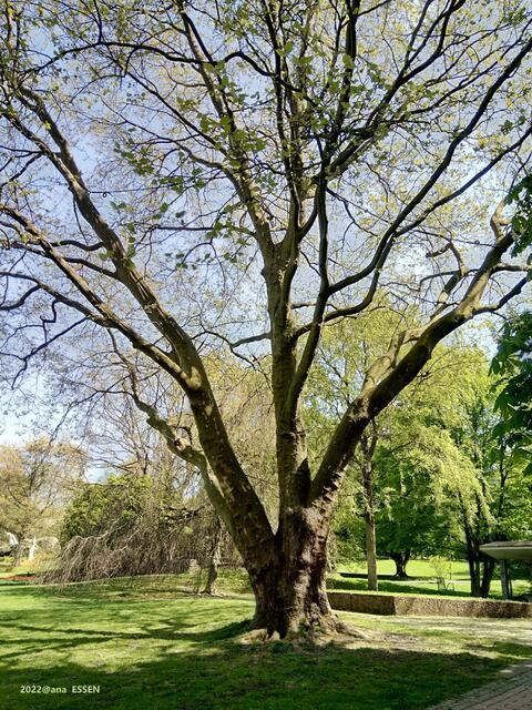 bizarr... GRUGA Essen 2022