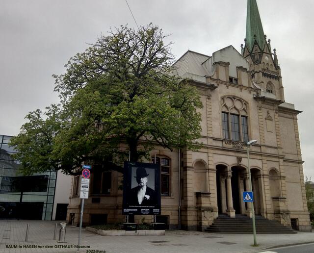 ...ein BAUM ganz allein... in HAGEN vor dem Museum Osthaus ...