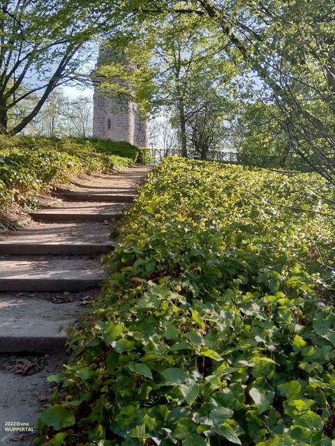 Grünes´ auf der Hardt in Wuppertal