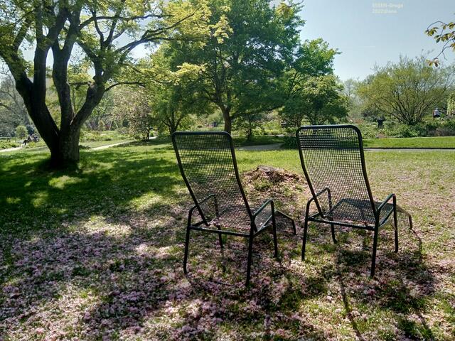 unter Bäumen entspannen ... GRUGA Essen :-)♥