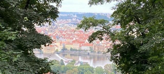 Foto: Dr. Steffen Leibold