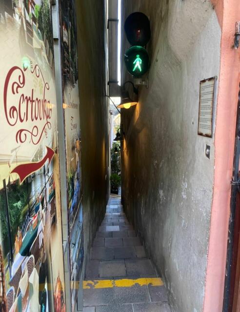 Foto: Dr. Steffen Leibold