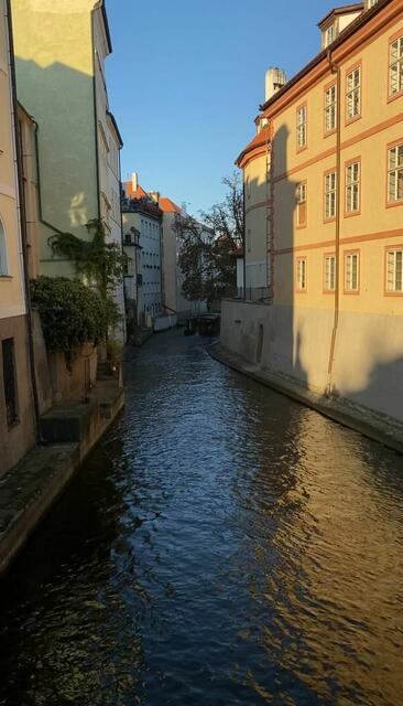 Foto: Dr. Steffen Leibold