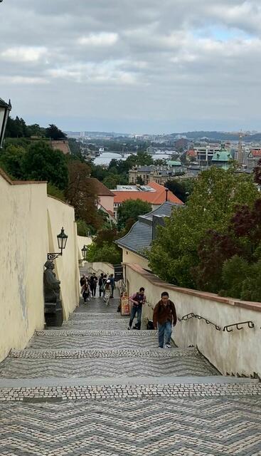 Foto: Dr. Steffen Leibold